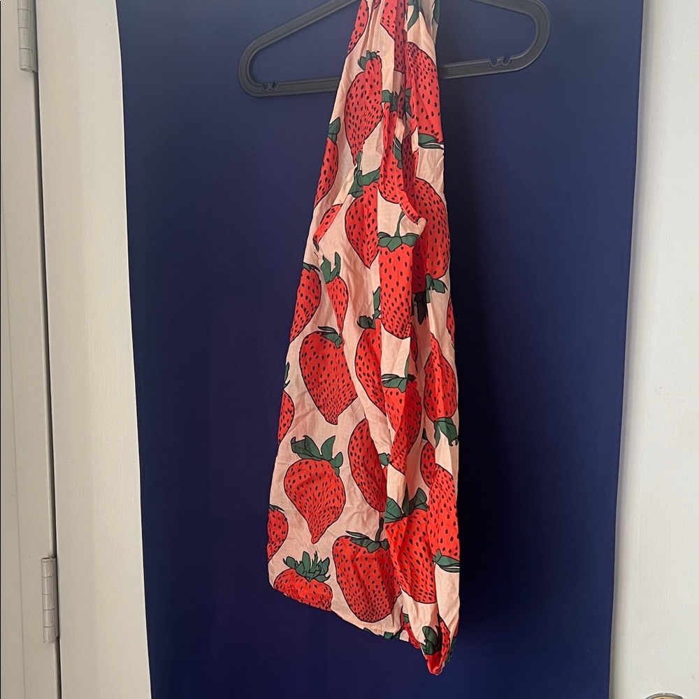 Big baggu Strawberry Bag